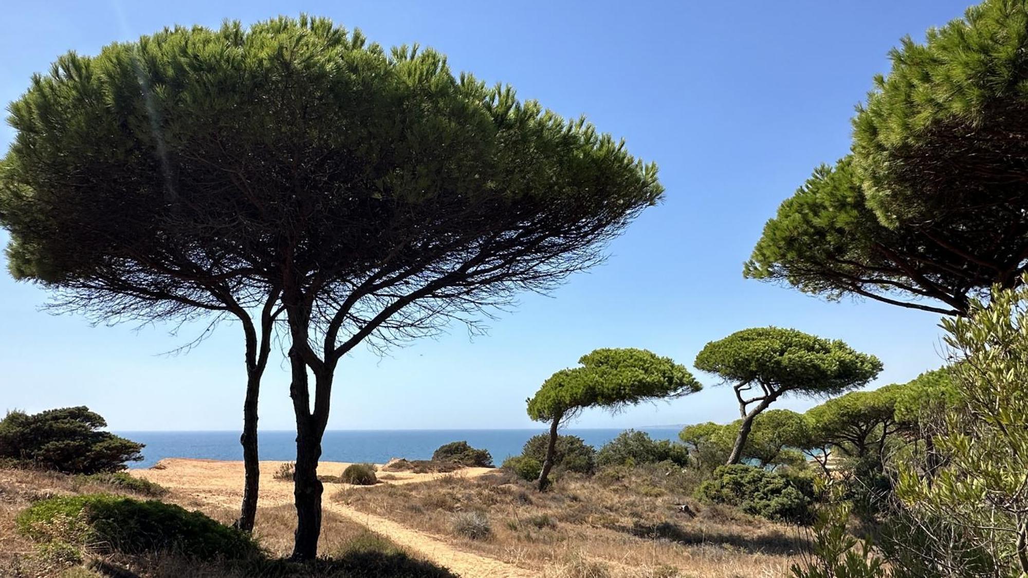 Casa de Férias Pine Cliffs By Check-in Portugal